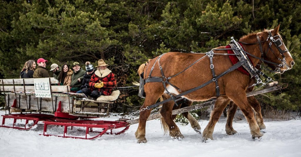 A horse-drawn sleigh pulls a large group of people over the snow.