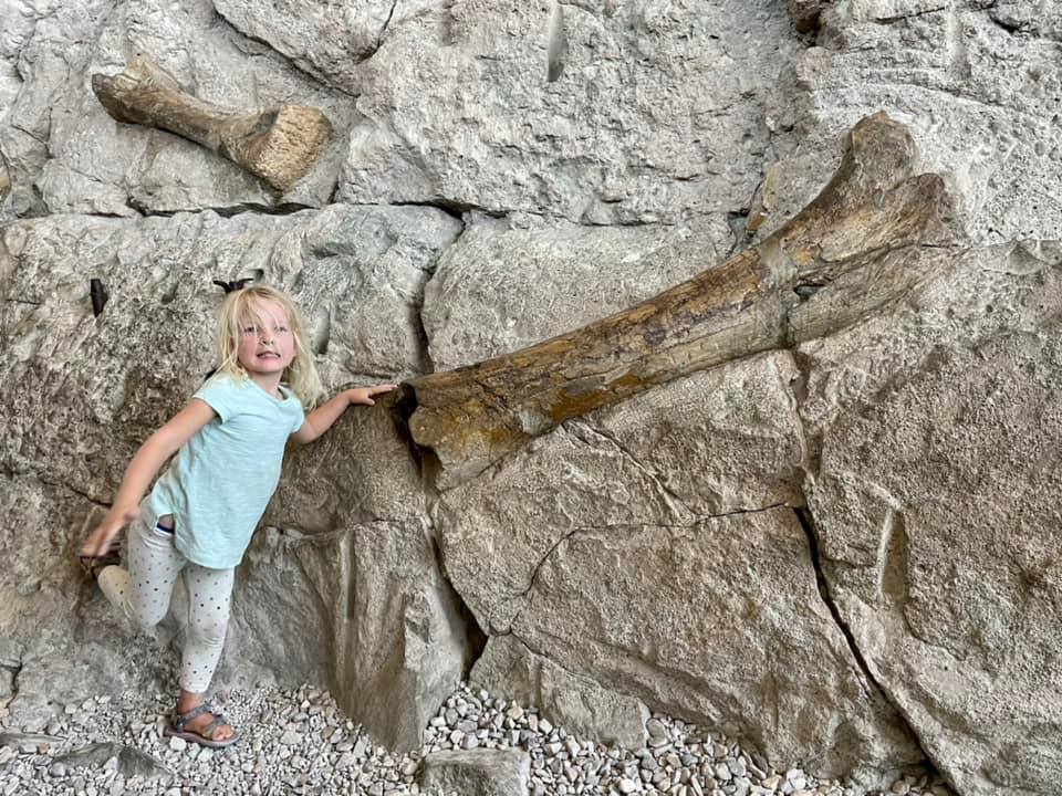 A young girl stands next to a huge dinosaur fossil embedded in a rock wall at the Dinosaur National Monument in Utah, one of the best weekend getaways from Salt Lake City for families. 