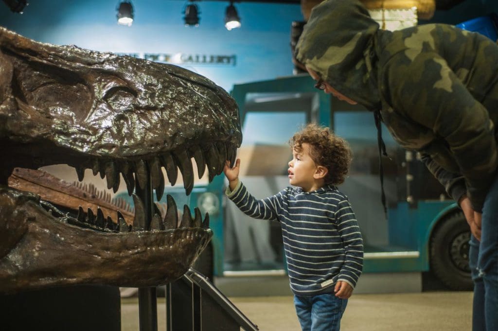 A young boy reaches out to touch a T-Rex skeleton at the Chicago Children's Museum, one of the best kids activities in Chicago.