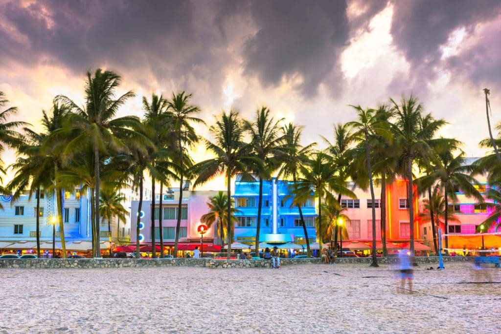 A stretch of beach lined with palm trees and colorful houses in the distance in Miami, one of the best places to travel with your mom.
