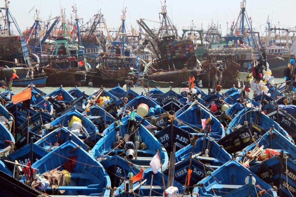 A field of blue boats with fishing gear inside, with the larger shipyard in the distance.