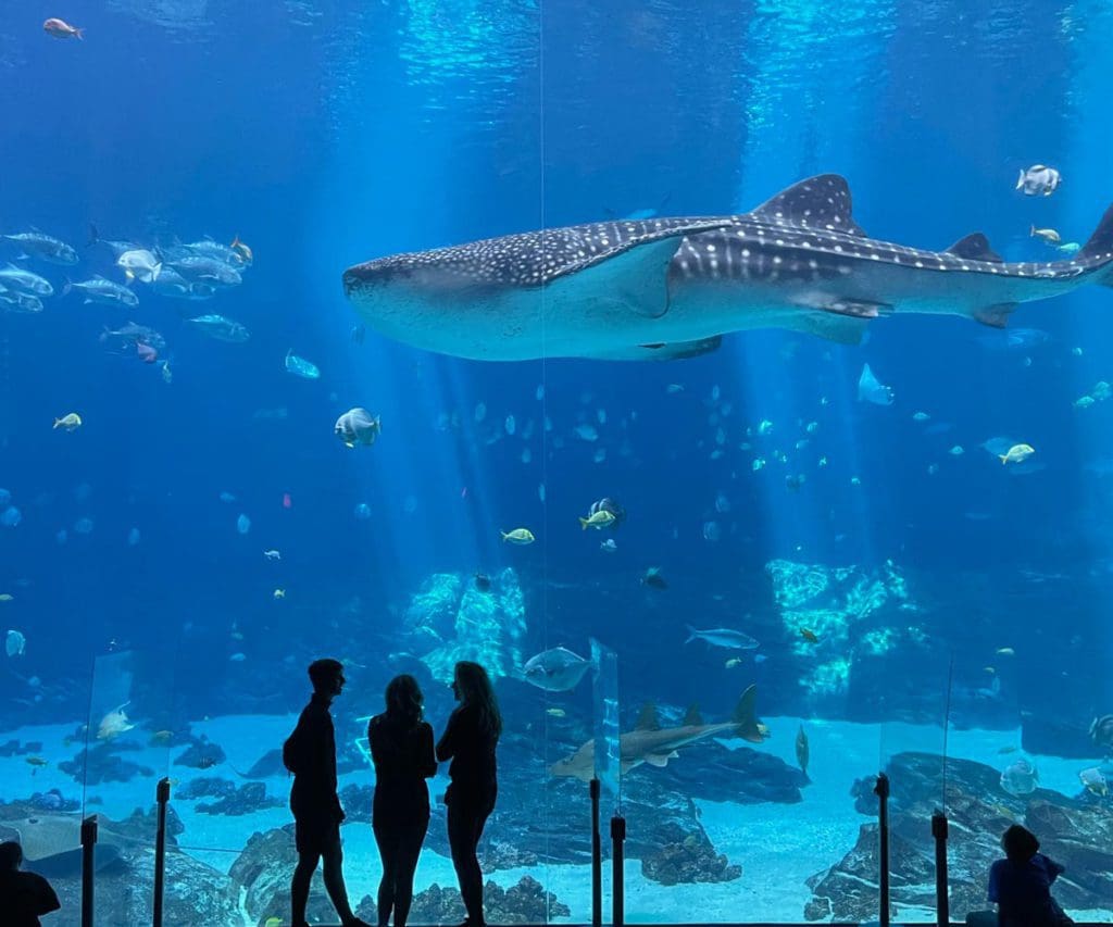 Three kids stand at the base of a large aquarium tank look at a shark and several fish at the Georgia Aquarium in Atlanta, one of the best places to visit with your young daughter in America.