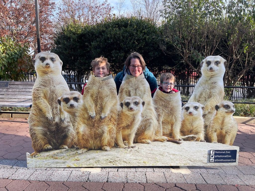 A mom and her young son pretend to be meerkats at a photo area at the National Zoo in Washington DC.