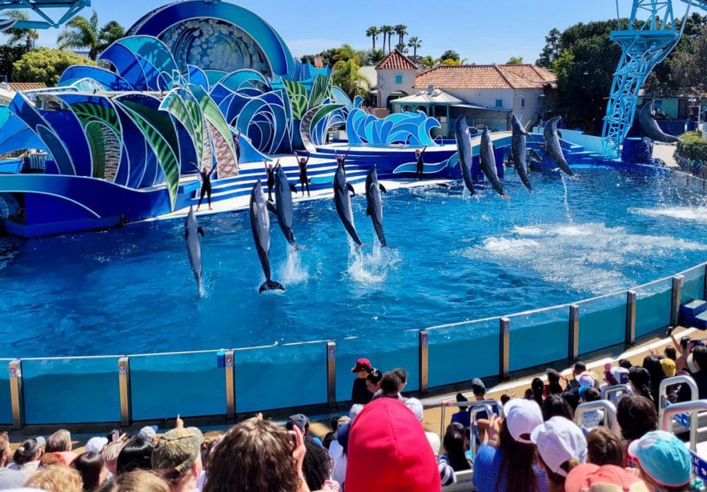 A crowd of people enjoy a dolphin show at SeaWorld San Diego, one of the best weekend getaways from Las Vegas for families. 
