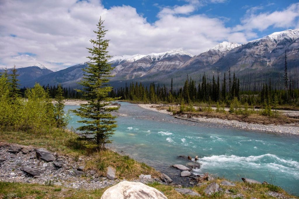 A river runs through a rocky shoreline with sparse pine trees and mountains in the distance at Kootenay National Park, one of the best vacation destinations for families In Canada.