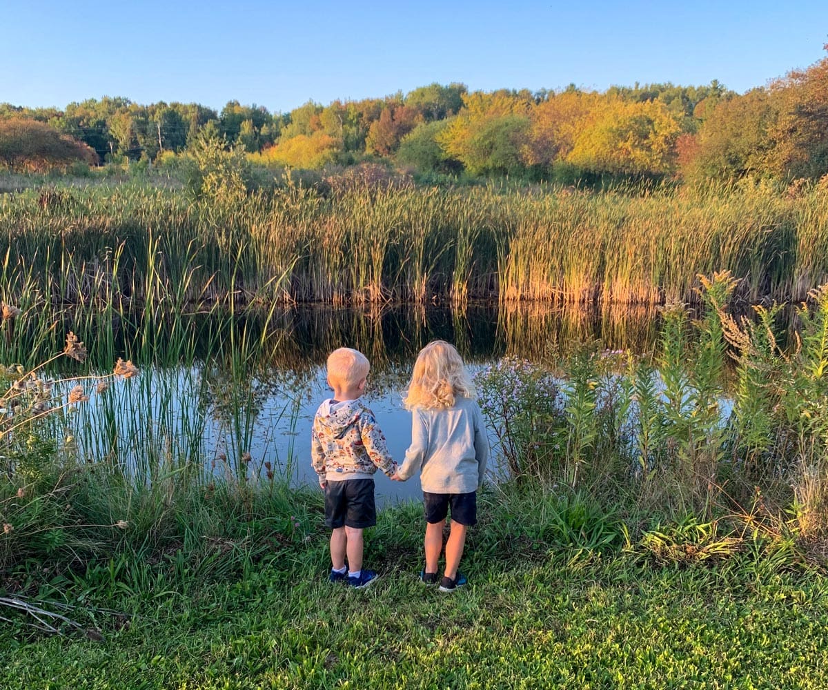 Two toddlers hold hands while looking at a small pond at Blue Vista Farm in Bayfield.