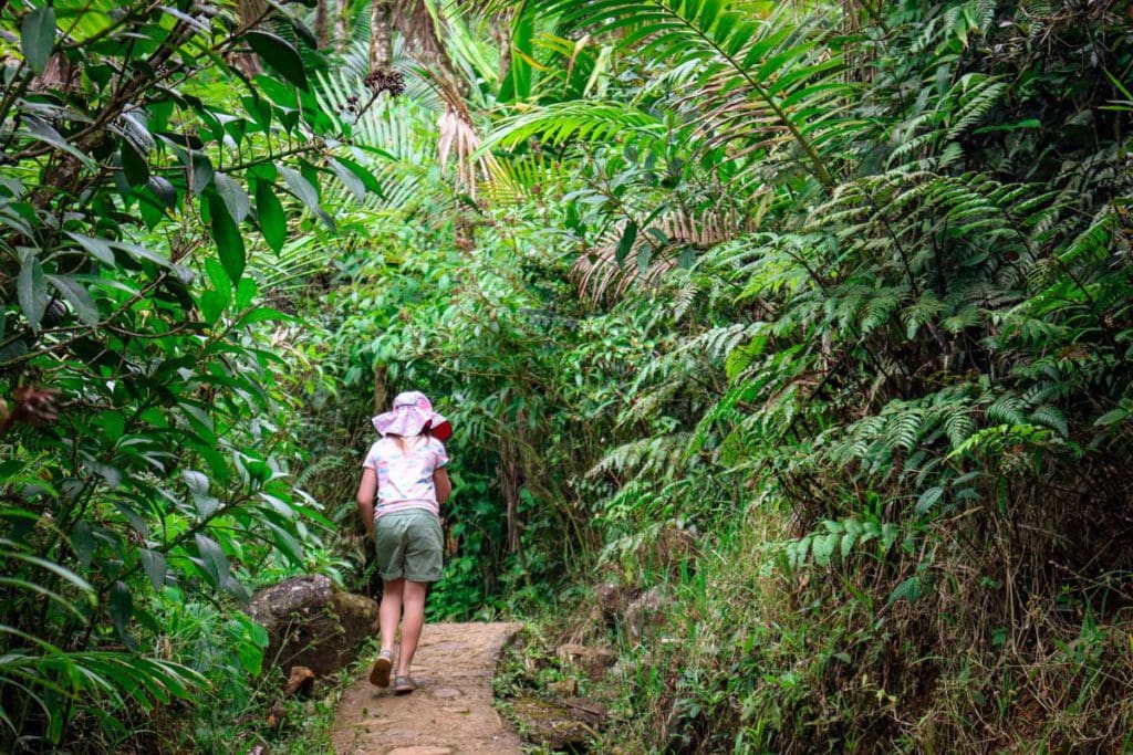 A young girl hikes along a path in El Yunque National Forest in Puerto Rico, one of the best hot places to visit in December for families.