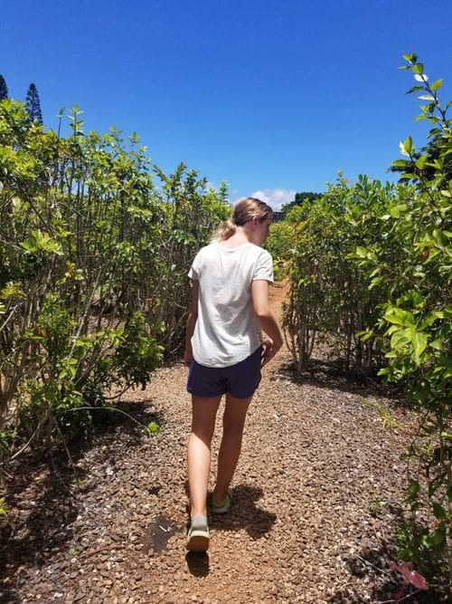 A teen girl wanders through the Dole Plantation.