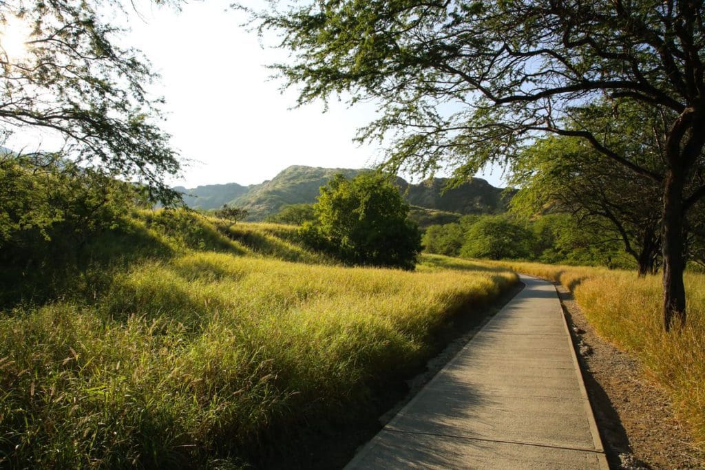 A boardwalk extends into a lush green walking area in Diamond Head.