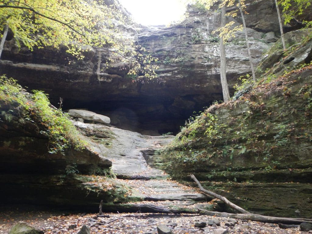 A dry waterfall bed, with greenery flanking the stones, at Ferne Clyffe State Park, one of the best places to visit in Southern Illinois for families.