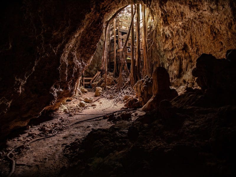 The entrance to Cueva del Viento at Guajataca State Forest, a must stop on any Puerto Rico itinerary for families.