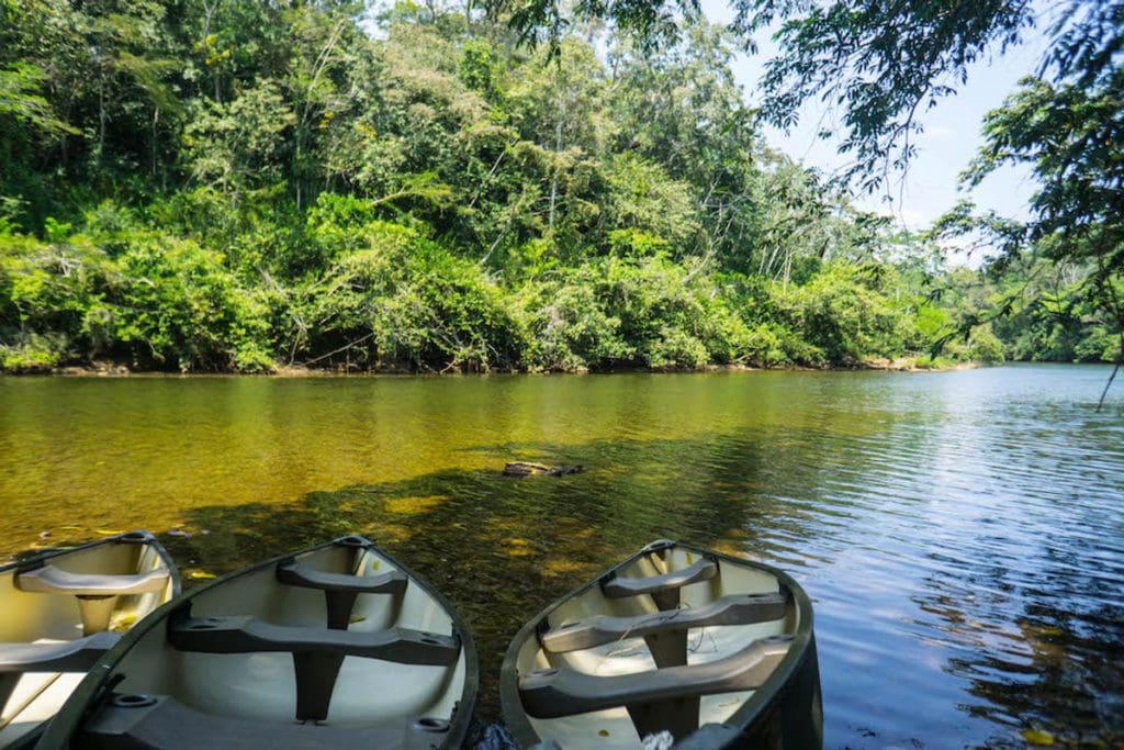 Three canoes sit along the shore of a river near Table Rock Jungle Lodge.