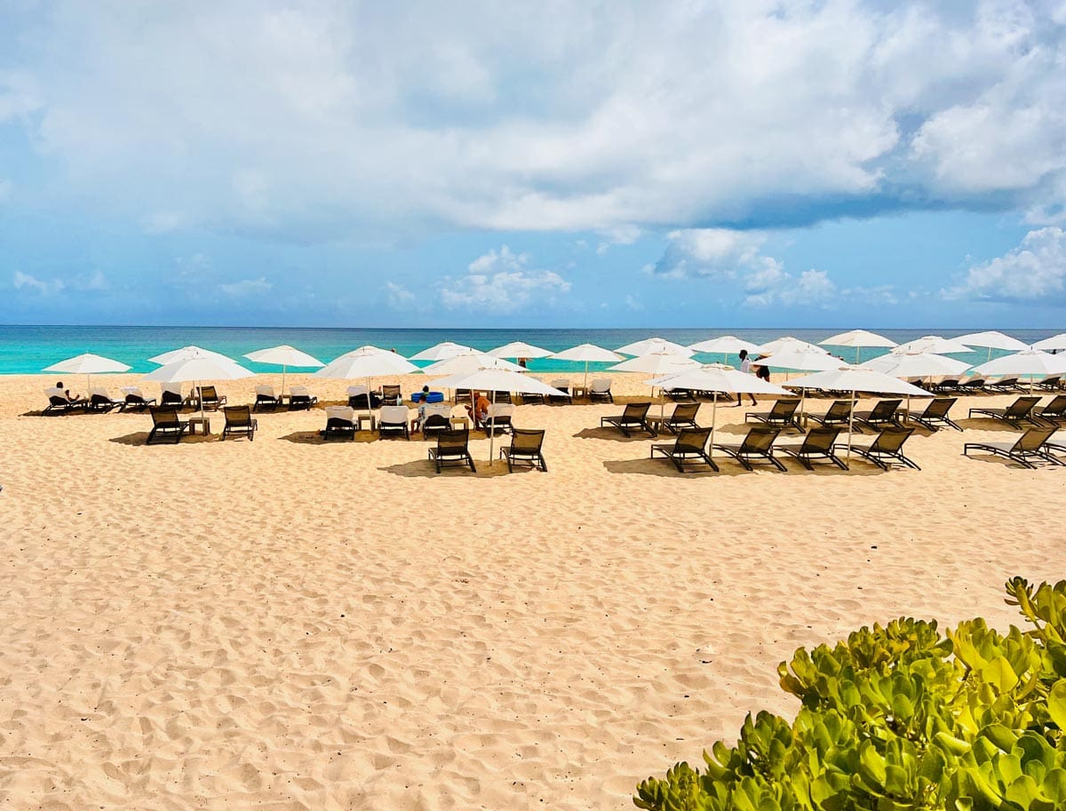 Several rows of beach loungers and umbrellas facing the ocean in Anguilla.