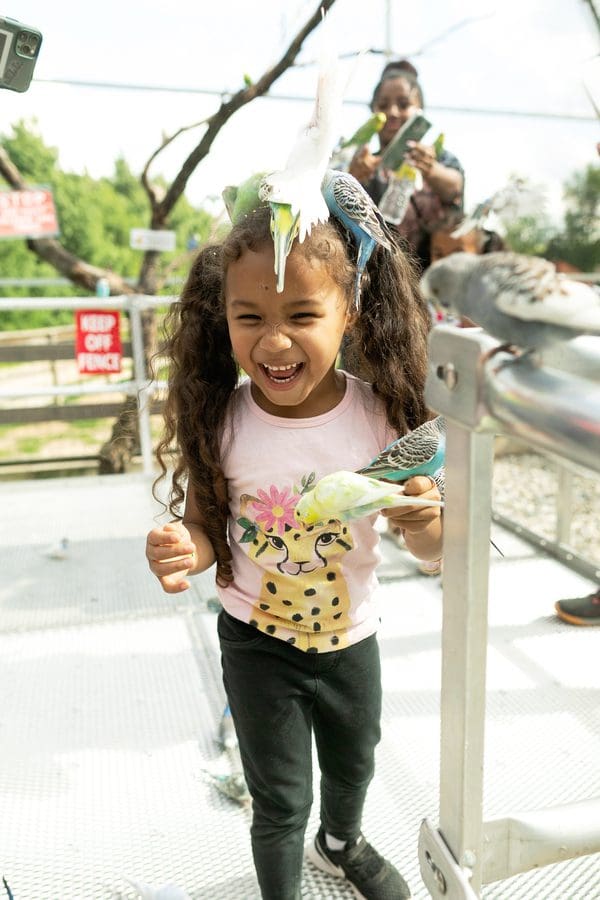 A young girl grins from ear to ear while parakeets land on her at Deer Tracks Junction.