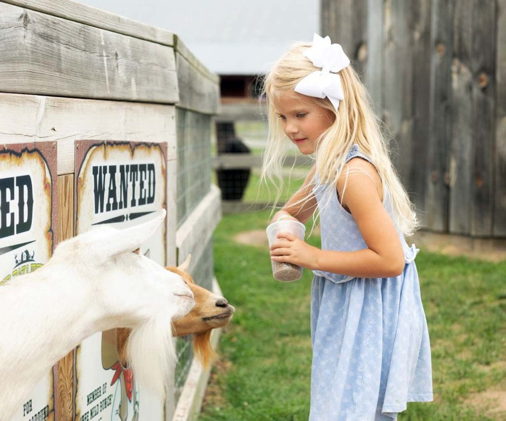 Lower Peninsula With Kids