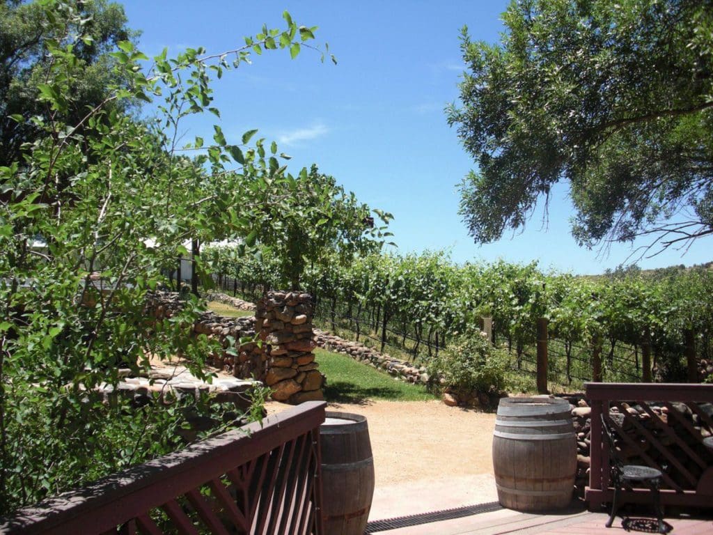 The lush entrance to Page Spring Cellars, with stunning vineyards on both sides of the road, a great stop on this Sedona itinerary for families.
