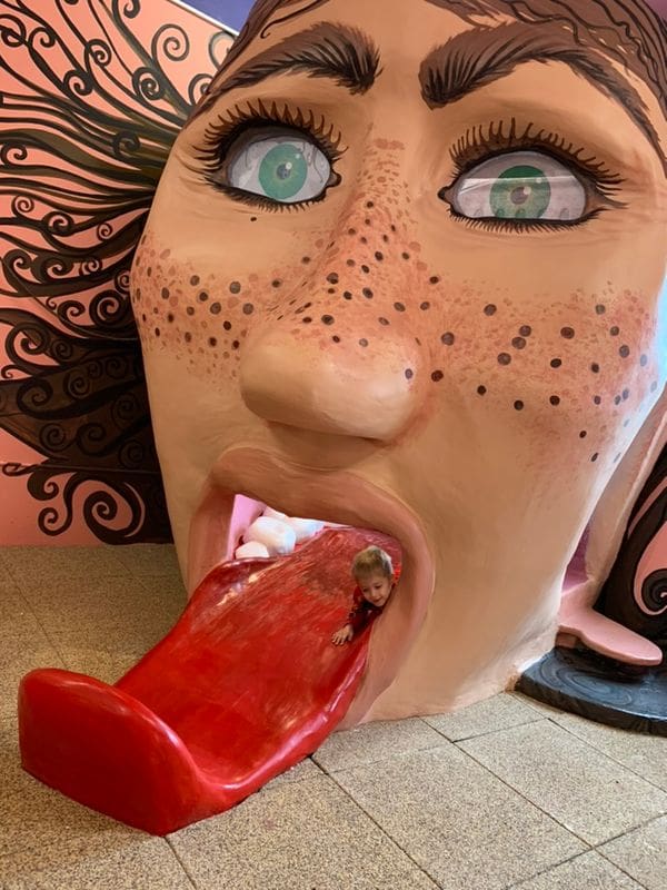 A young boy slides down a tongue-shaped slide at The Upper Peninsula Children's Museum.