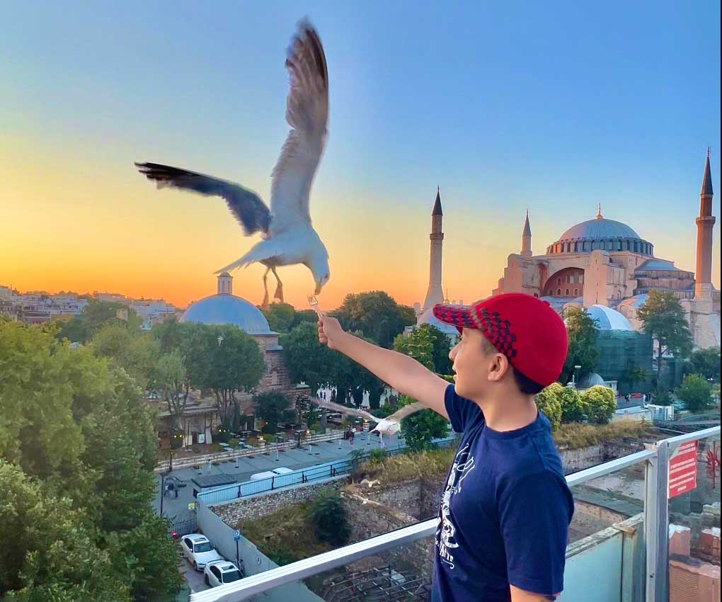 A seagull flies down to take a french fry from the hand of a young boy in Istanbul.