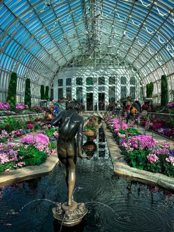 Inside one of the conservatory rooms, featuring an array of blooming plans and a fountain, at the Como Park Zoo & Conservatory.