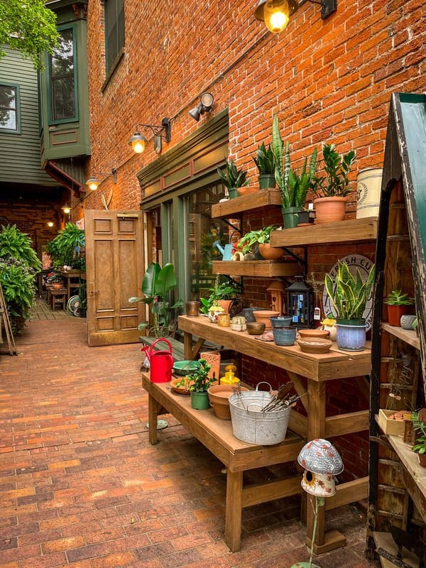 A gardening shelf filled with plants for sale at The Local Store.