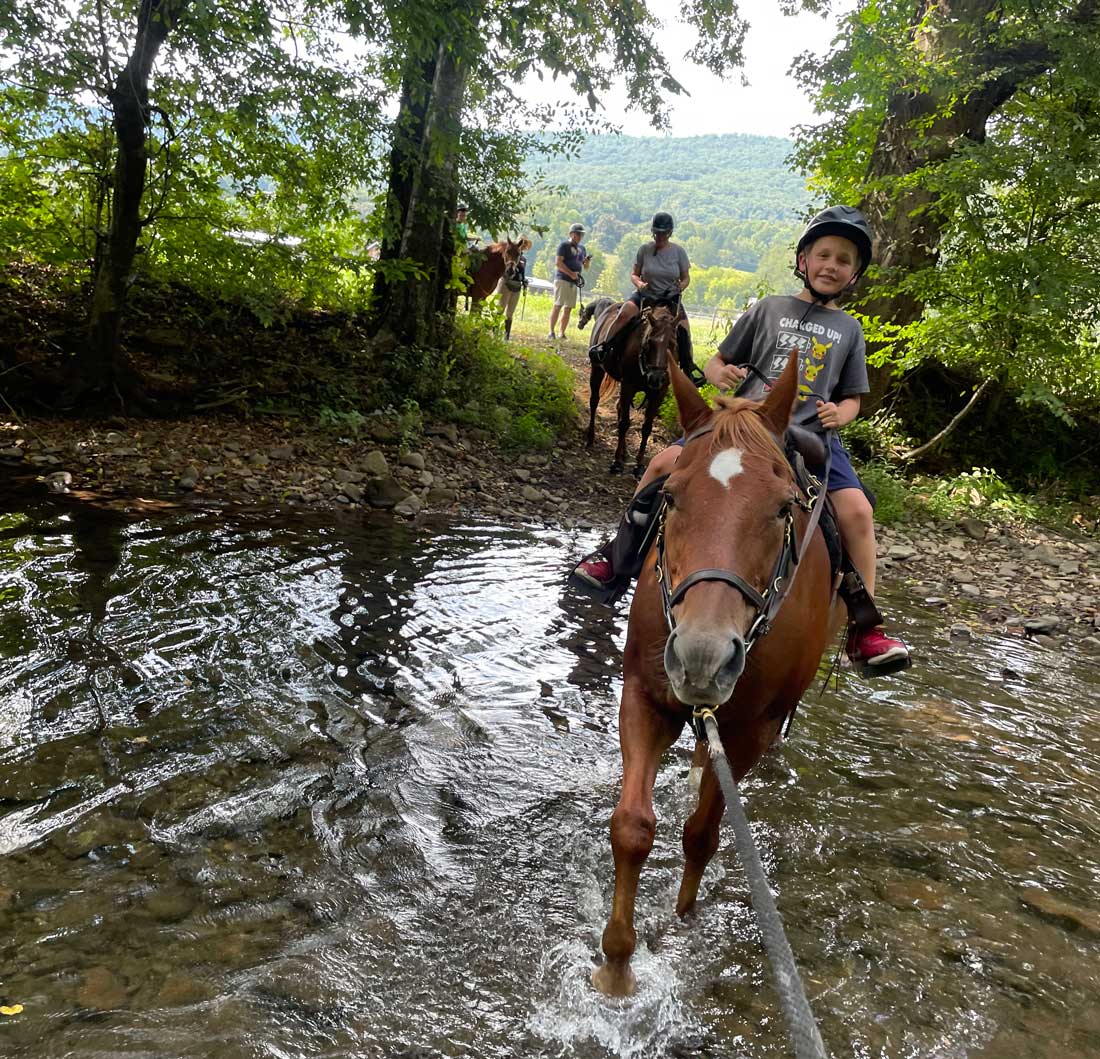 A young boy sits atop a horse, while the horse walks across a stream in a wooded area.