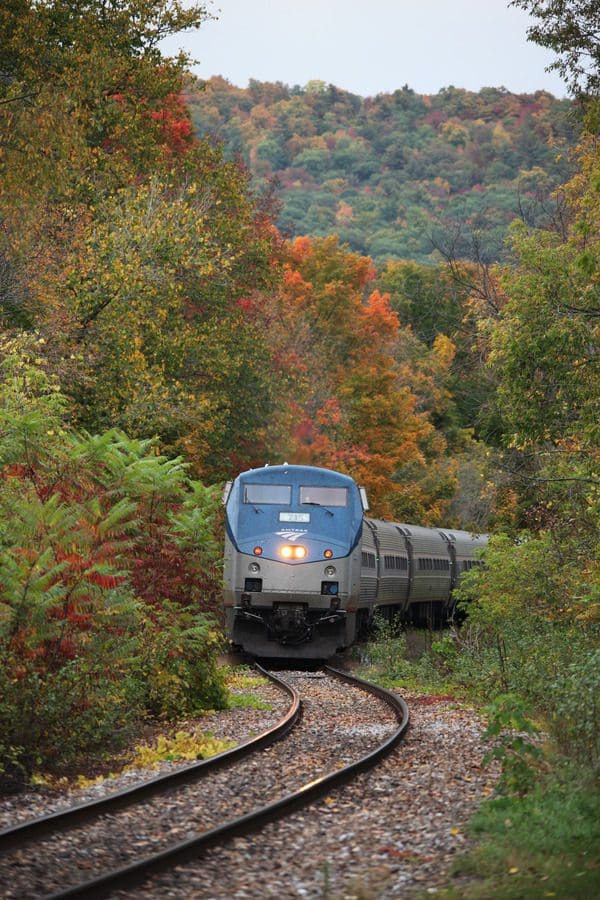 An Amtrak train zooms down the track, with fall foliage flanking both sides near Burlington, Vermont.