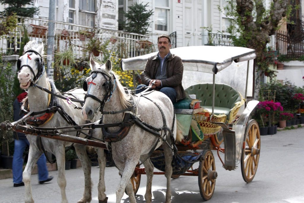 A man drives a horse-drawn carriage down a street along the Princes' Island in Turkey, one of the best day trips while on a family vacation to Istanbul.