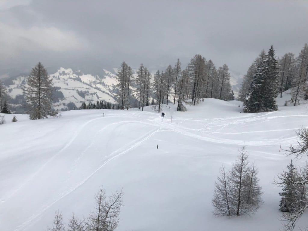 Several people ski in fresh powder along the trails in Alpendorf.