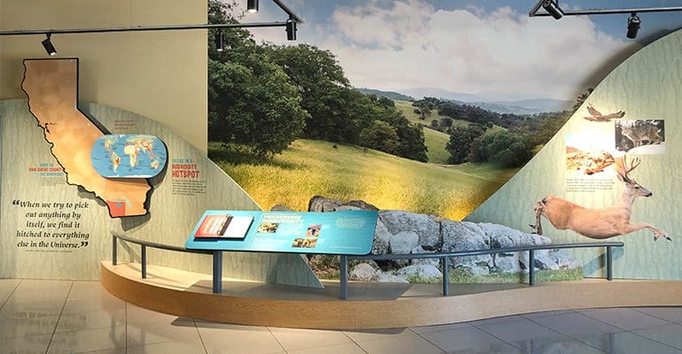 An exhibit about the surrounding area inside the Santa Ysabel Nature Center.