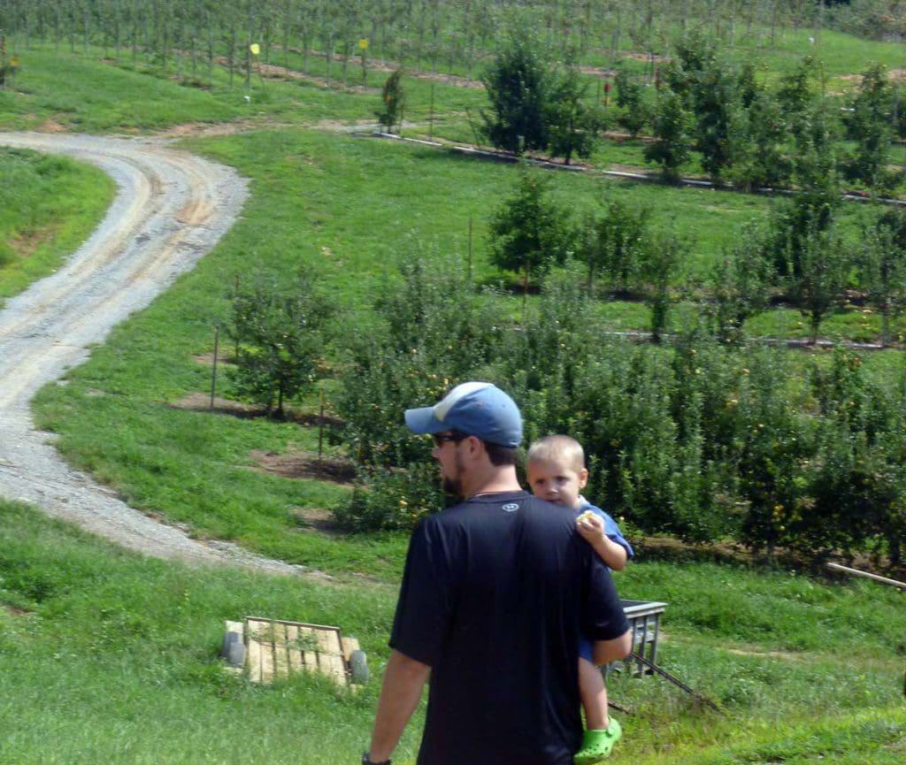 A dad and his young son walk through Mercier Orchard, one of the best family activities in North Georgia Mountains.