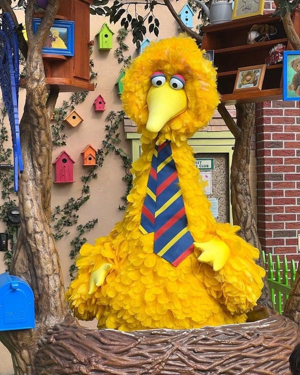 A close up of Big Bird in his nest at Sesame Place San Diego.