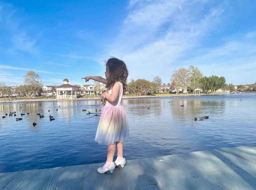 A young girl points out at ducks swimming on a lovely pond in Temecula.