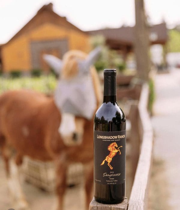 A bottle of wine stands on a fence post with a horse in the distance at Longshadow Ranch.