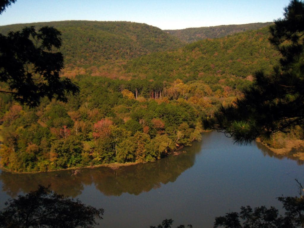 An aerial view of Shores Lake in Ozark National Forest, with a shoreline of trees vibrant with fall colors.