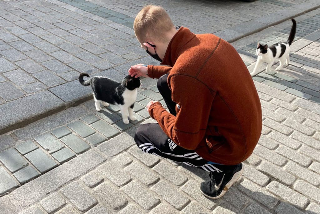 A young boy pets a stray cat while exploring the streets of Istanbul with his family, knowing important health information is part of learning all about Turkey with kids.