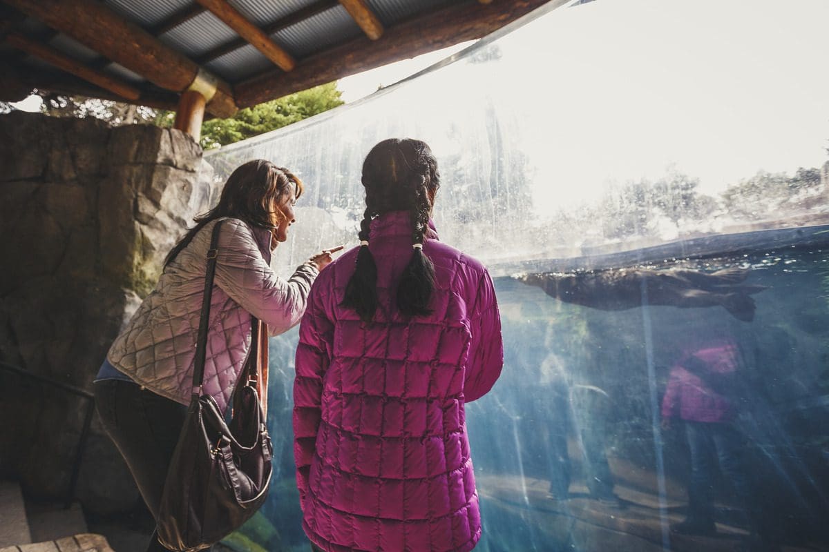 A mom and her young daughter watch an otter swim around in a habitat at the Minnesota Zoo.