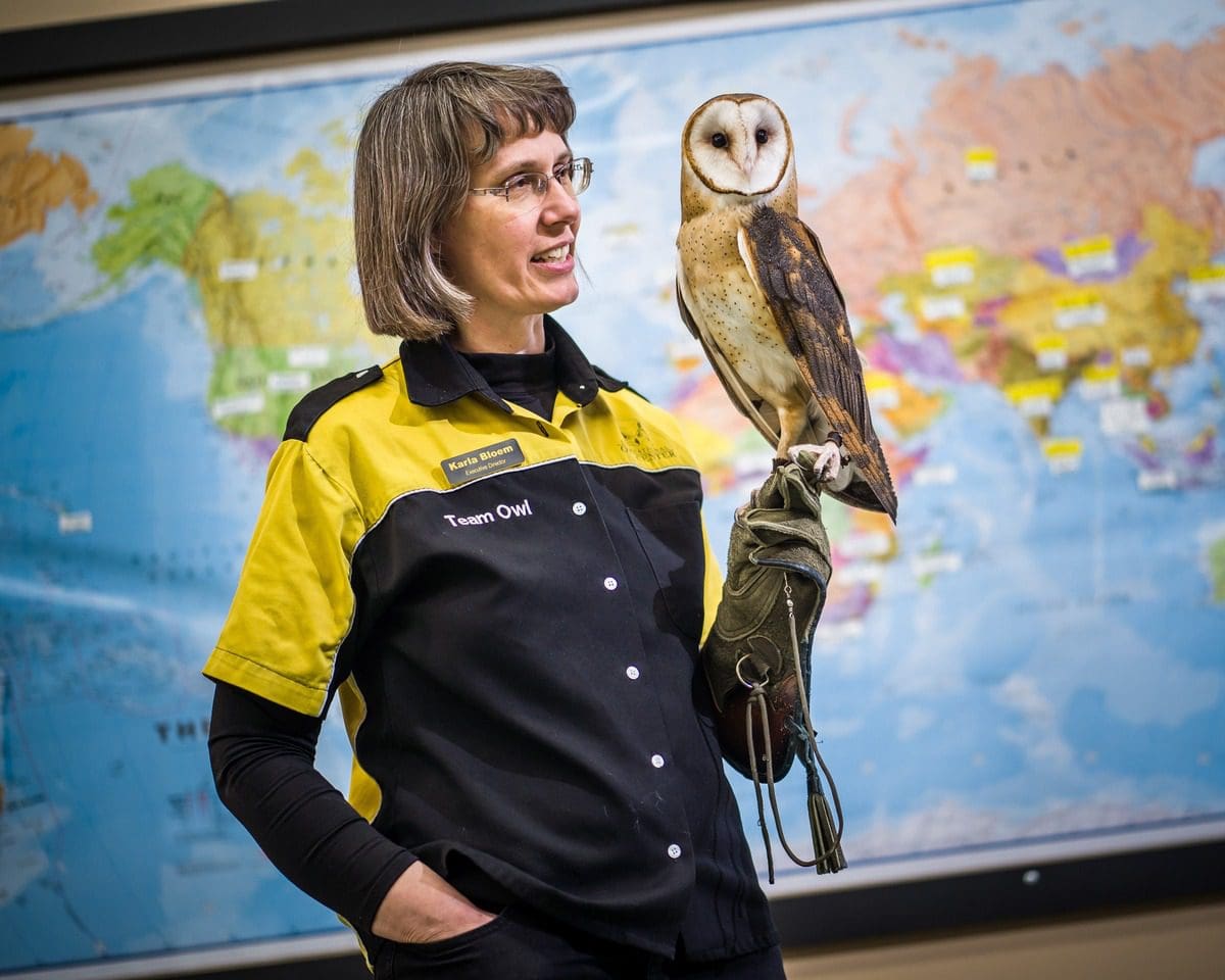A staff member at the International Owl Center holds a owl on her hand during a lecture.