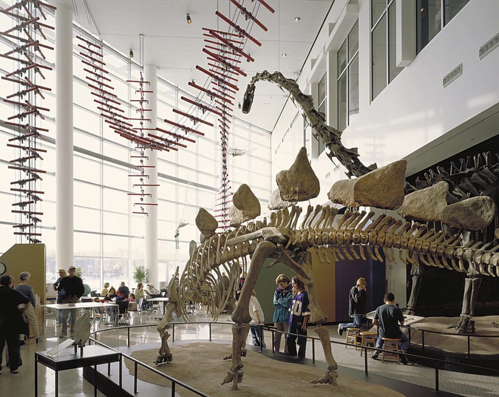 People explore a dinosaur exhibit with huge dinosaur fossils at Science Museum of Minnesota, one of the best places to explore in the Twin Cities with kids.