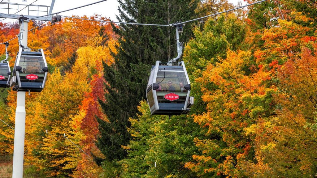 Two gondolas rise through the vibrant fall canopy while heading up Stratton Mountain at Stratton Mountain Resort.
