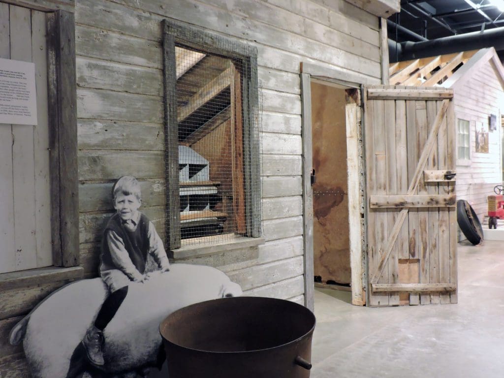 Inside an exhibit at the Chippewa Valley Museum of a boy and his pig.