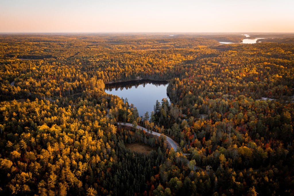 An aerial view of rich autumn colors in Ely, Minnesota, surrounding a lake.