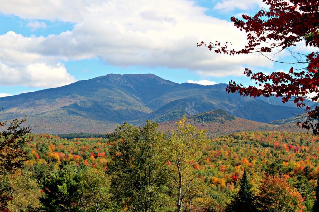 New Hampshire's Sugar Hill mountain through a forest of fall foliage.