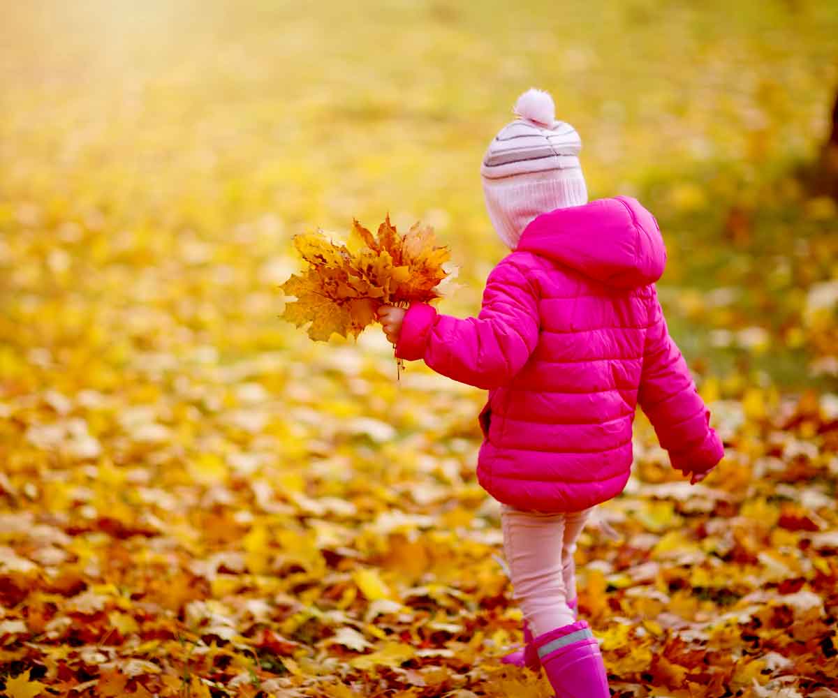 A young girl holds a hand-full of vibrant leaves, while walking through a field of fallen leaves in Vermont.
