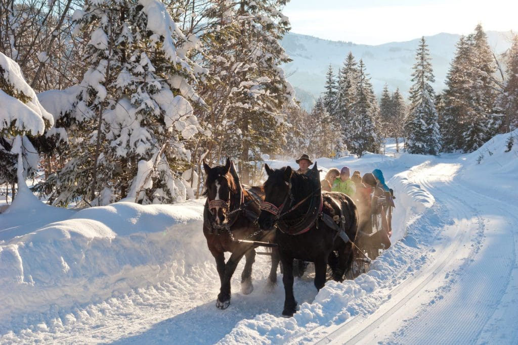 A horse-drawn sleigh in the snow near Hochkoenig Tourismus GmbH in the Alpendorf region.