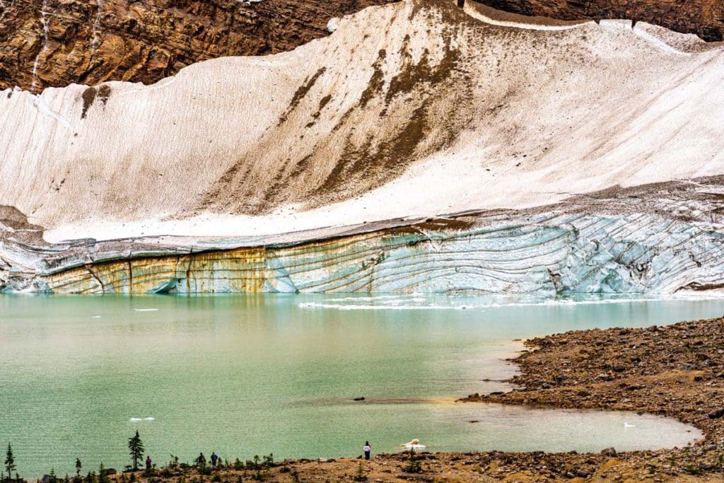 Angel Glacier nestled in the Canadian Rockies.