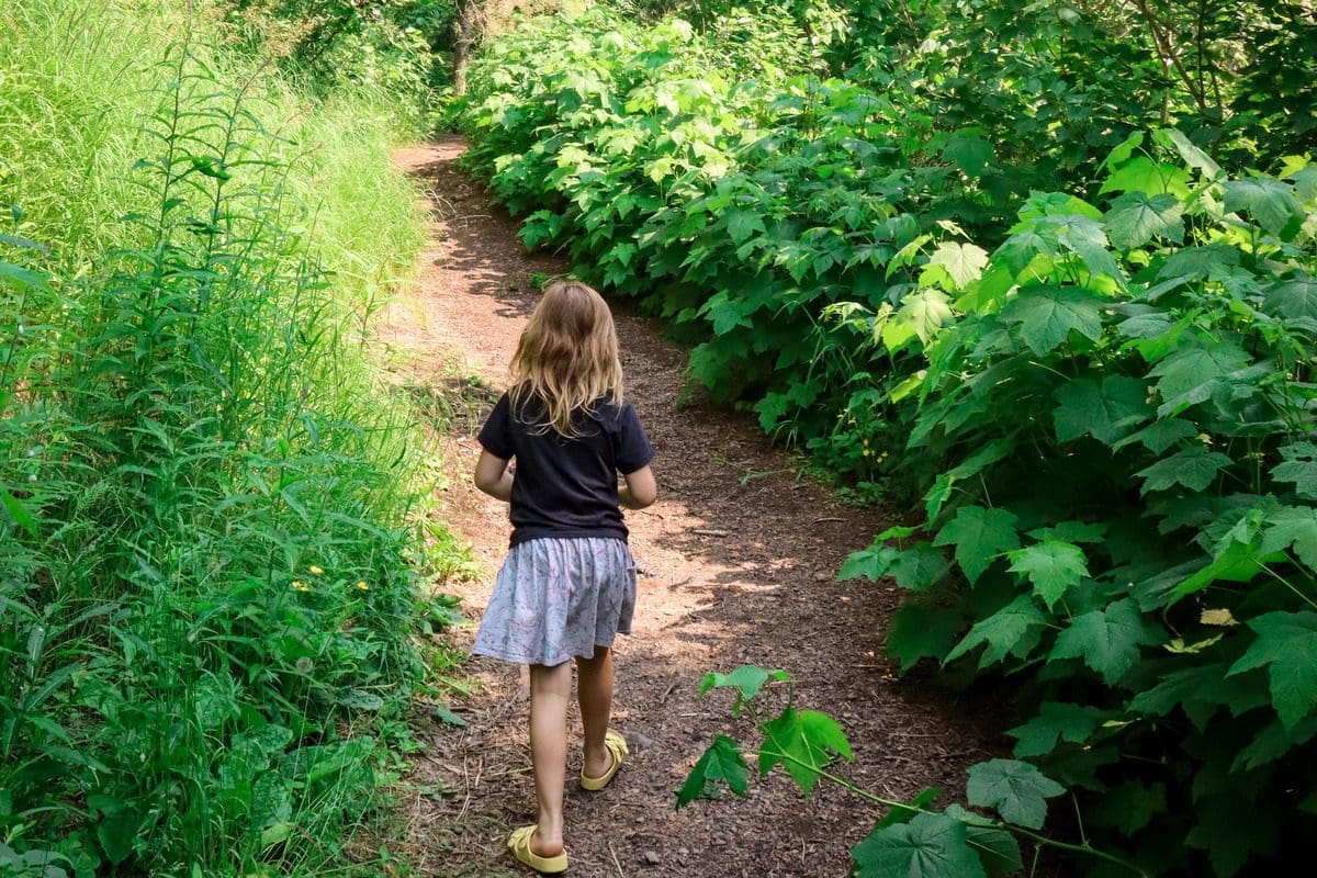 A young girl hikes along a lush green hiking trail in Cascade River State Park, one of the best places to visit in northern Minnesota with kids.