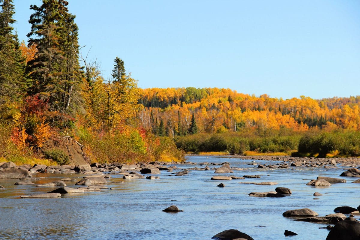 A sweeping fall view across the river, with colorful trees on the distant bank at Grand Portage State Park, one of the best places to visit in northern Minnesota with kids.