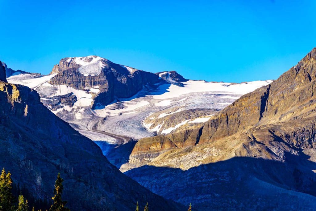 Peyto Glacier along the Banff to Jasper highway in the Canadian Rockies.