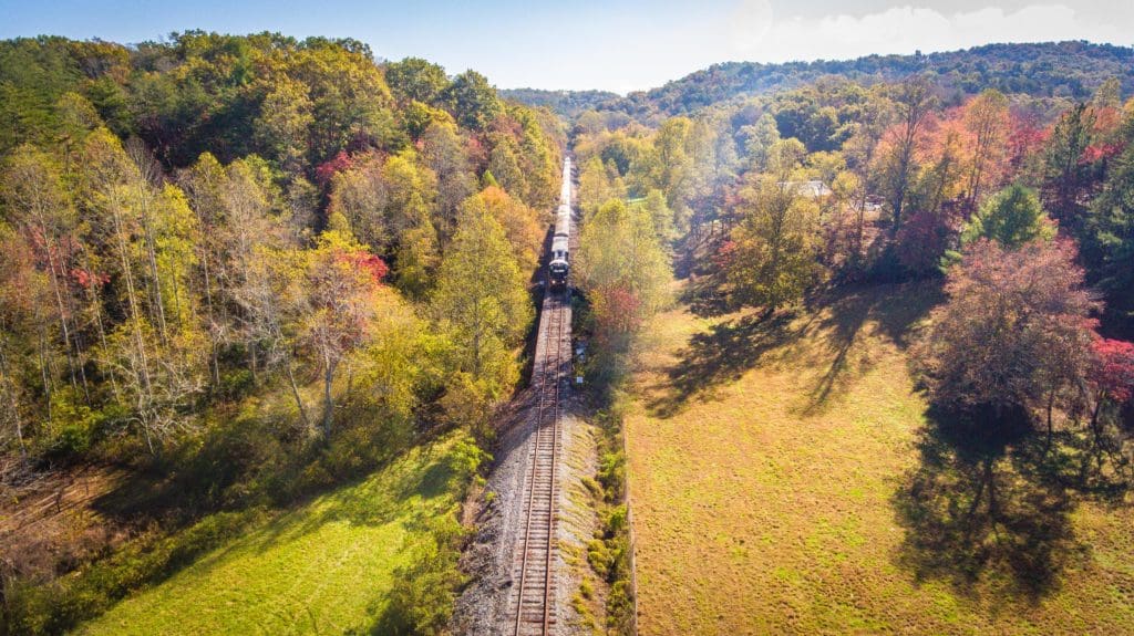 A train chugs along the tracks of the Blue Ridge Scene Railway, with fall foliage flanking both sides of the tracks.