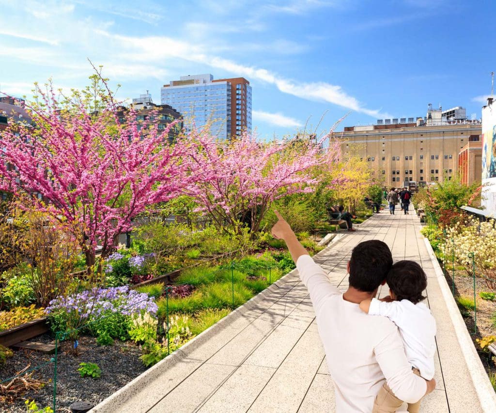 New York City during the Easter season, a father and son walk through Central Park and enjoy the cherry blossoms.